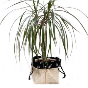 Natural Jute Cotton Gift Bag – Black Lining – Large | www.artisangoods.co.uk 2