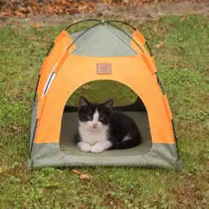 PAW Bed – Green & Orange Tent – 48 × 48 × 40cm