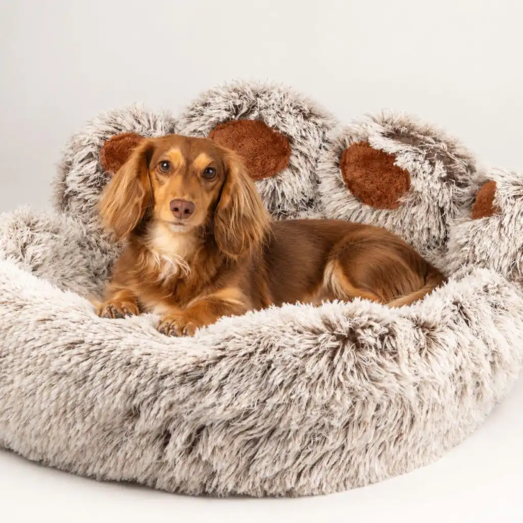 PAW Bed – Large Big Paw – 70cm