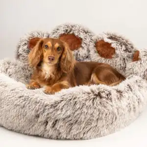 PAW Bed – Large Big Paw – 70cm