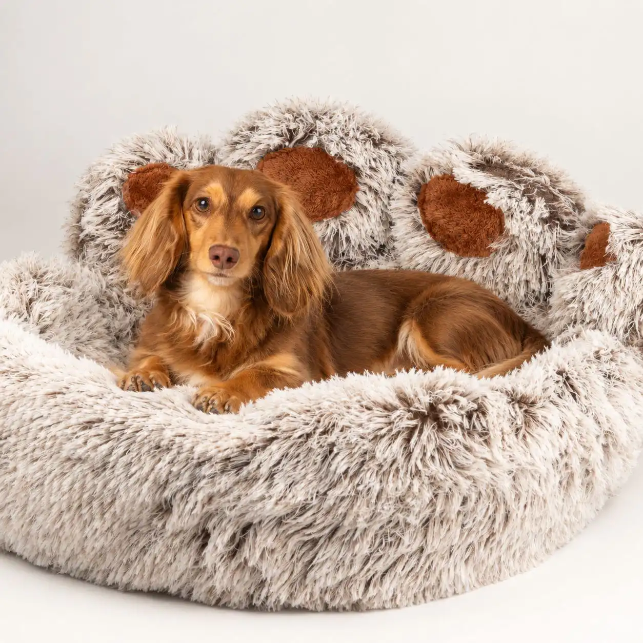 PAW Bed – Large Big Paw – 70cm
