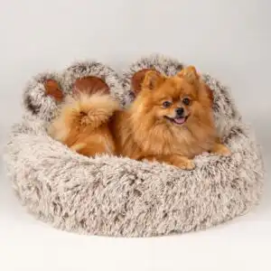 PAW Bed – Medium Big Paw – 60cm