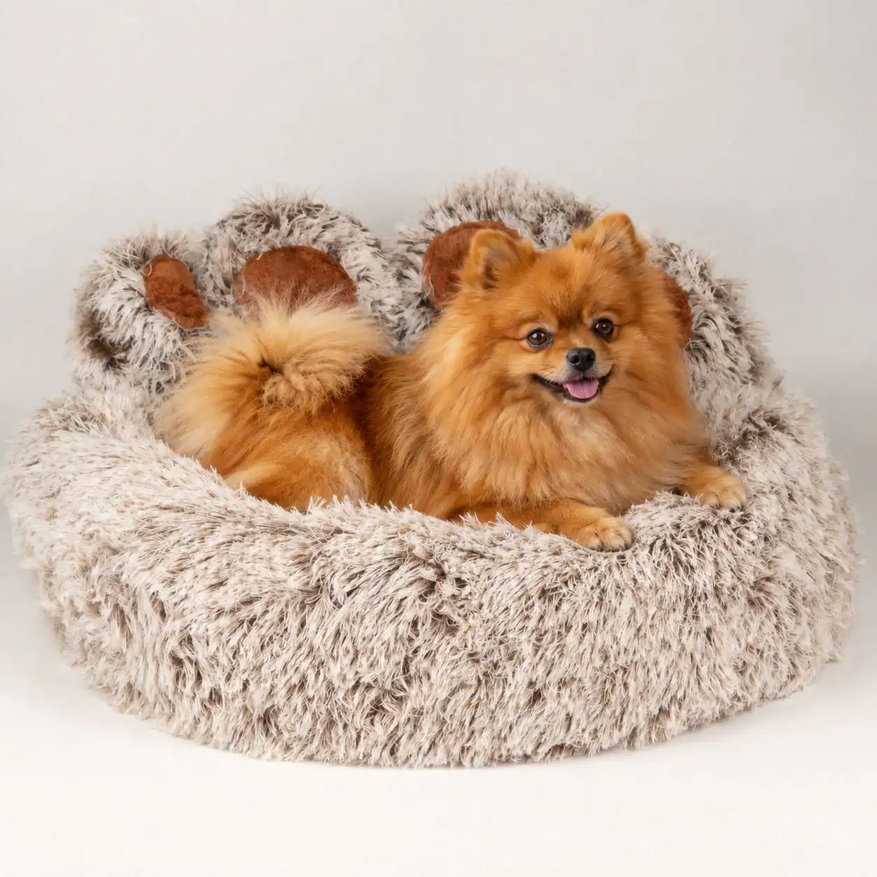 PAW Bed – Medium Big Paw – 60cm