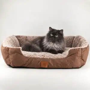 PAW Bed – Medium Plush Teddy Brown – 70 × 55 × 18cm