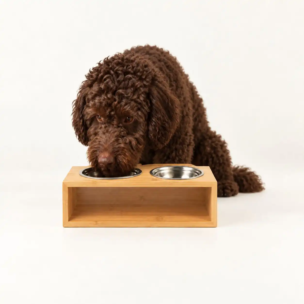 PAW Food Bowls - Large Double Stainless Steel (201) in Wooden Stand - 2x13cm