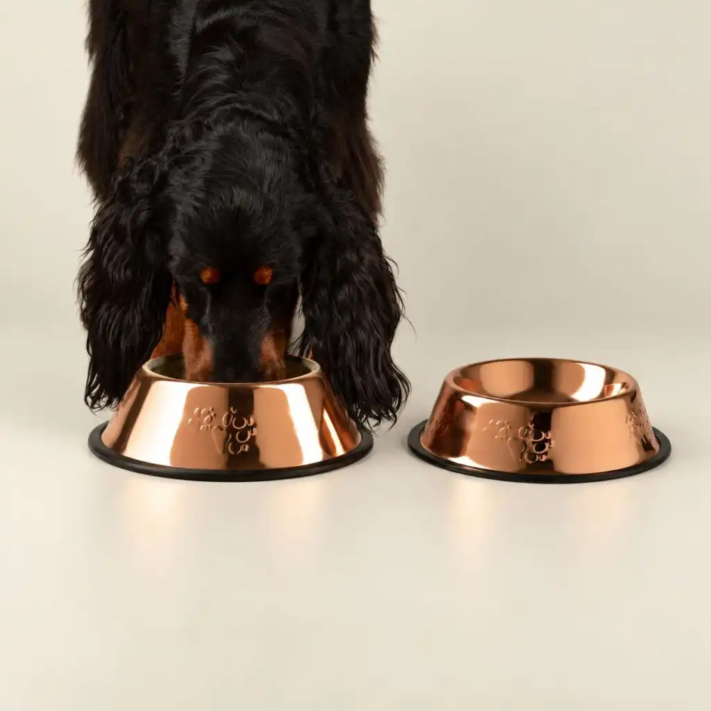 PAW Food Bowls - Single Copper Style - 22cm - Stainless Steel (304)