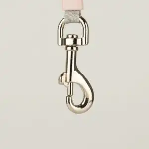 Paw Pet Leash - Mini Mango - Peach - 3m