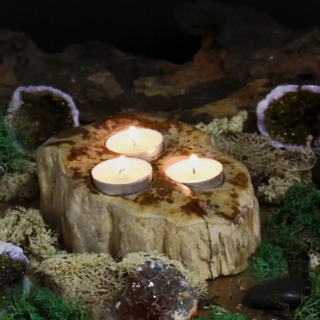 Petrified Wood Candle Holder – Double | www.artisangoods.co.uk 7