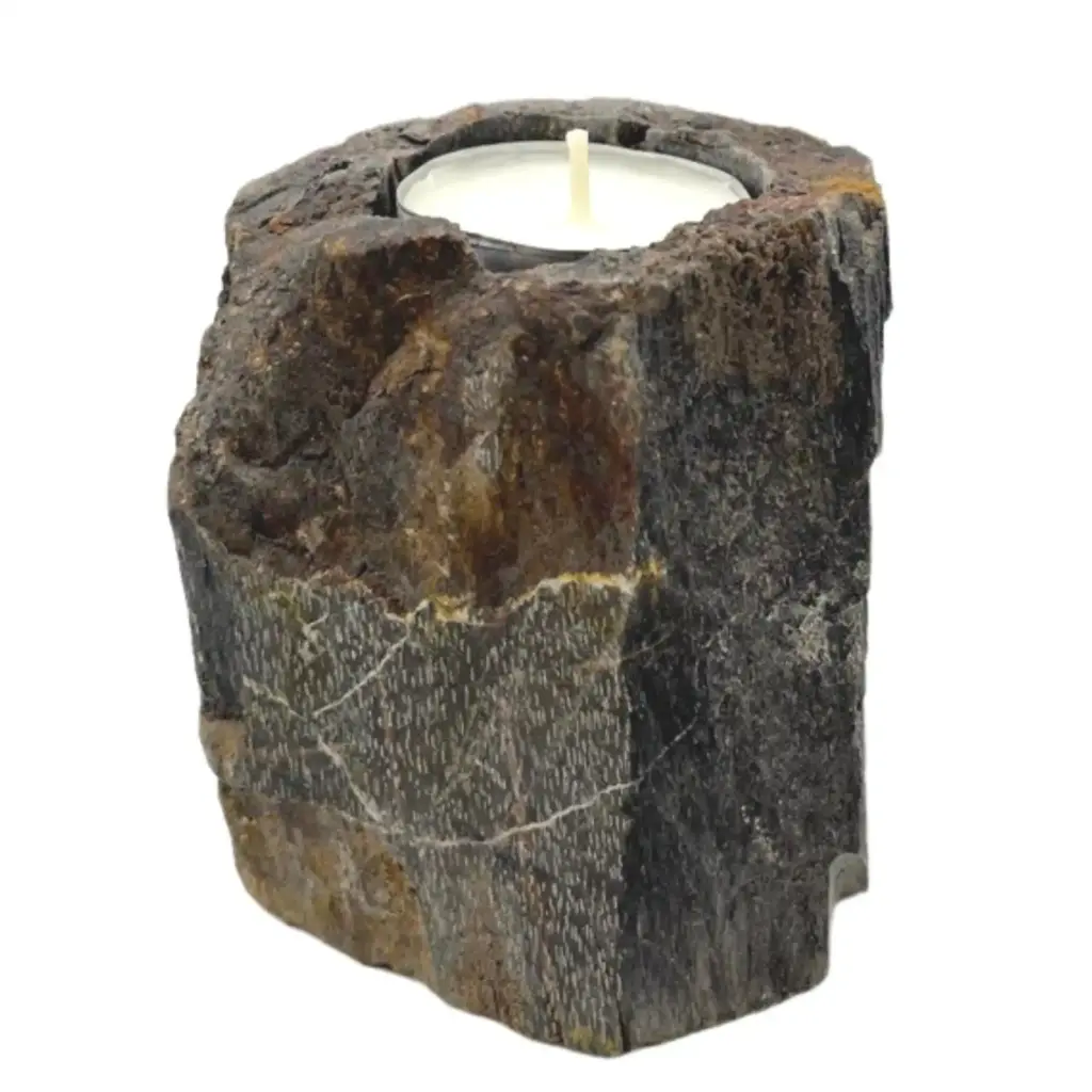 Petrified Wood Candle Holder – Single Low | www.artisangoods.co.uk 3 Petrified Wood Candle Holder – Single Low | www.artisangoods.co.uk 3