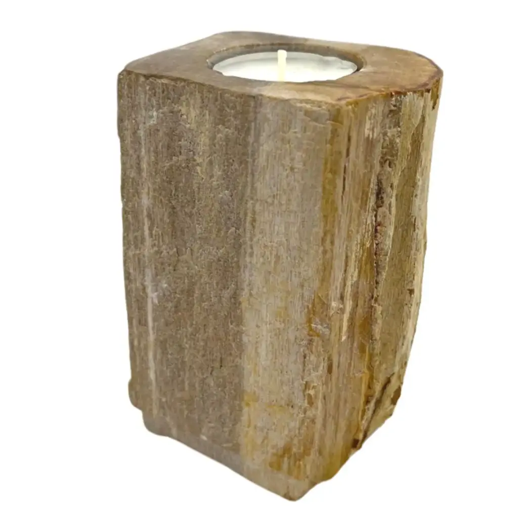 Petrified Wood Candle Holder – Single Tall | www.artisangoods.co.uk 3 Petrified Wood Candle Holder – Single Tall | www.artisangoods.co.uk 3