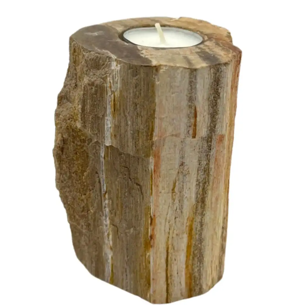 Petrified Wood Candle Holder – Single Tall | www.artisangoods.co.uk