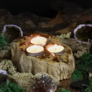 Petrified Wood Candle Holder – Triple | www.artisangoods.co.uk 5