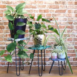 Set of 3 Albasia Wood Plant Stands – Turtles | www.artisangoods.co.uk 2