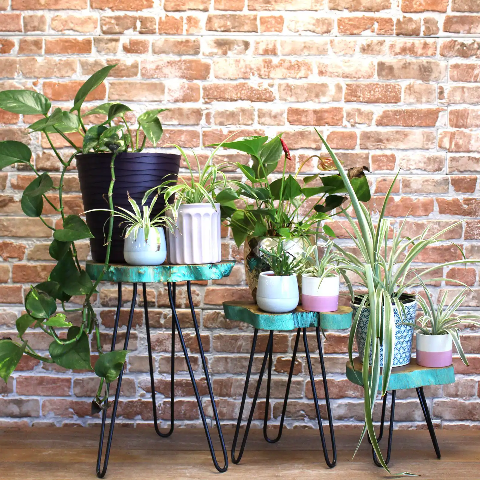 Set of 3 Gamal Wood Plant Stands – Greenwash | www.artisangoods.co.uk 4 Set of 3 Gamal Wood Plant Stands – Greenwash | www.artisangoods.co.uk 3