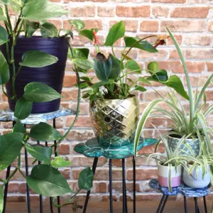 Set of 3 Gamal Wood Plant Stands – Natural | www.artisangoods.co.uk 5