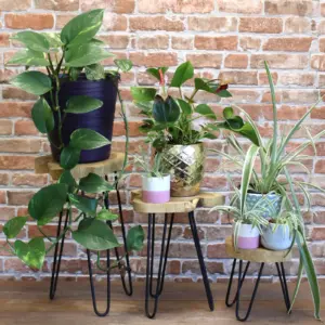 Set of 3 Gamal Wood Plant Stands – Natural | www.artisangoods.co.uk 2
