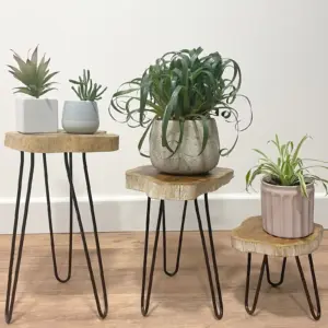 Set of 3 Gamal Wood Plant Stands – Whitewash | www.artisangoods.co.uk 9