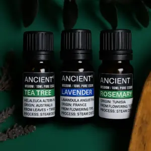 Set of Lavender, Tea Tree & Rosemary Essential Oils – 10ml Each | www.artisangoods.co.uk 7
