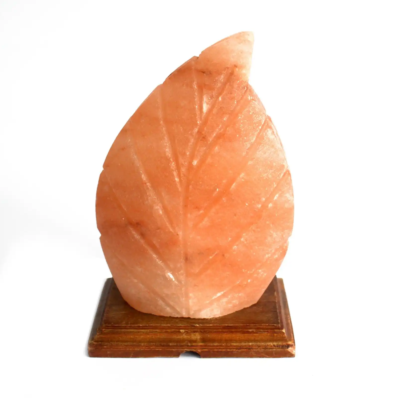 Shape Salt Lamp – Fern | www.artisangoods.co.uk 2 Shape Salt Lamp - Fern