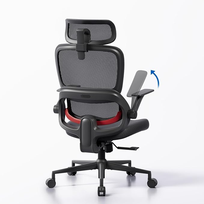SIHOO B100 SE Ergonomic Office Chair with Lumbar Support Black