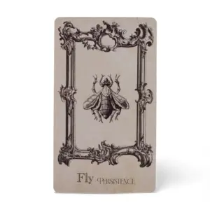 The Spellbook Oracle Cards- Witchcraft Deck | www.artisangoods.co.uk 4