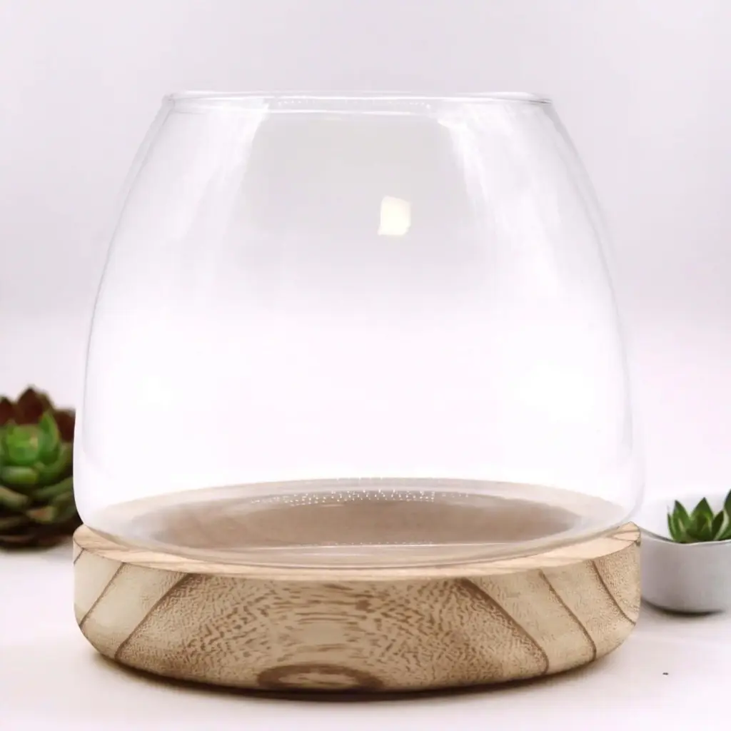 Medium Terrarium on Natural Tung Wood | www.artisangoods.co.uk