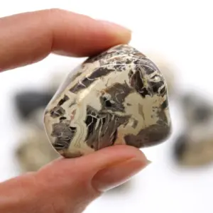 Extra Large Tumbled Stones